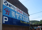 (L)}JY